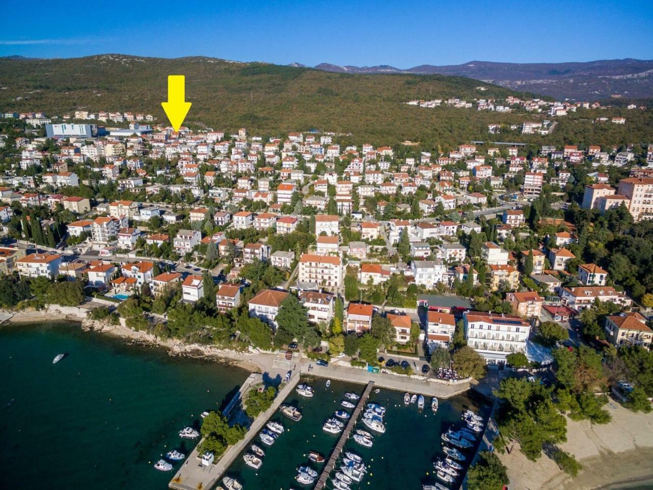 Davorka Crikvenica