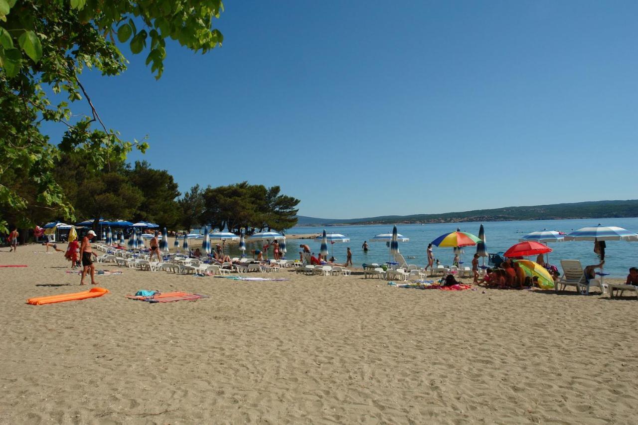 Davorka Crikvenica